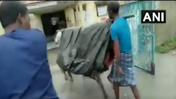 Woman gives birth on make-shift stretcher while being carried for 5 km Woman gives birth on make-shift stretcher while being carried for 5 km