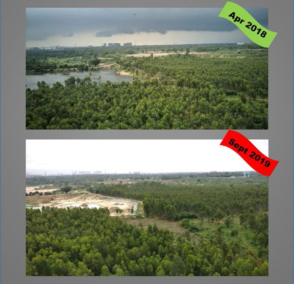 The destruction of another lake: Why the situation at Bhoganahalli reeks of apathy The destruction of another lake: Why the situation at Bhoganahalli reeks of apathy