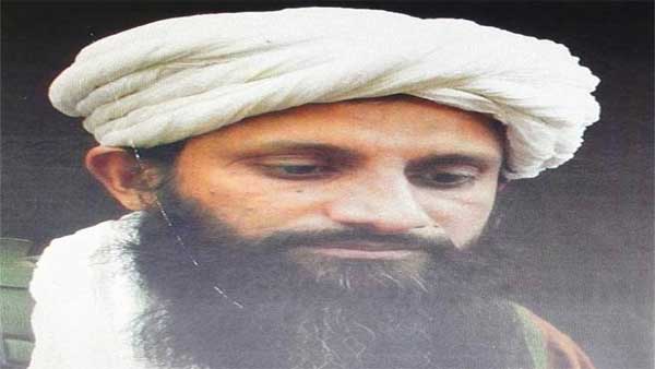 Umar a designated terrorist: