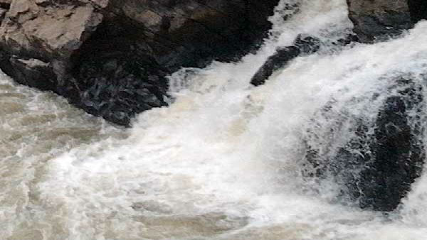 TN: Flood alert in Coimbatore, Nilgiris districts as Pillor dam brims TN: Flood alert in Coimbatore, Nilgiris districts as Pillor dam brims