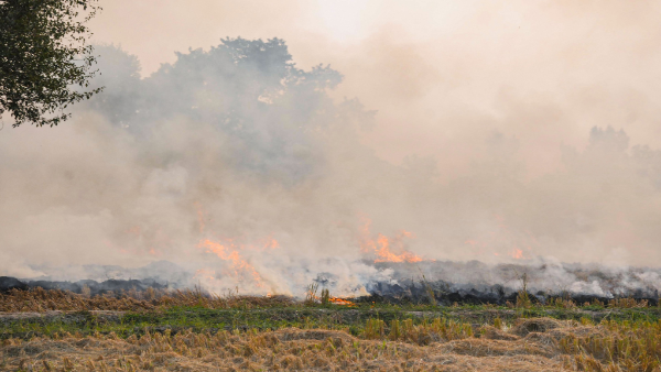 Spike in stubble burning Spike in stubble burning
