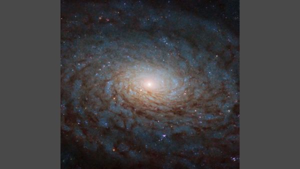 Galaxy NGC 4380