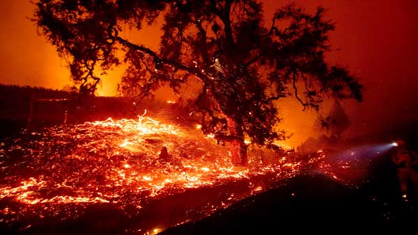 Winds could lead to erratic fire behaviour Winds could lead to erratic fire behaviour