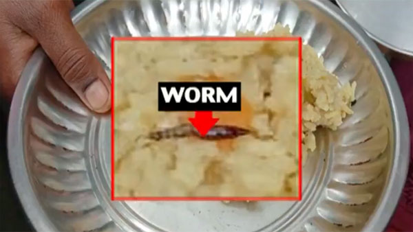 Worm found in Bengalurus Indira canteen food Worm found in Bengalurus Indira canteen food