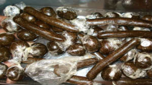 Woman held with 949 grams of charas in Himachal Pradeshs Kullu district Woman held with 949 grams of charas in Himachal Pradeshs Kullu district