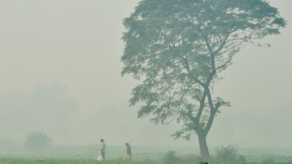 Delhi weather: