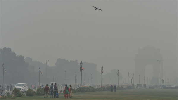 Parl panel asks for final report to curb pollution woes