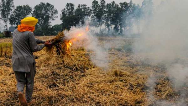 Stop stubble burning