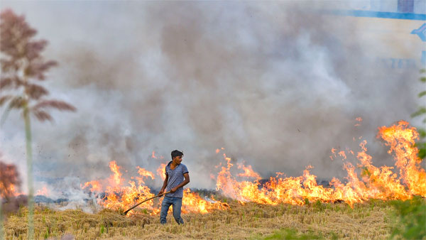29 farmers fined in UP's Muzaffarnagar: