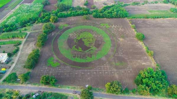 Artist makes huge grass painting of NCP chief Sharad Pawar Artist makes huge grass painting of NCP chief Sharad Pawar