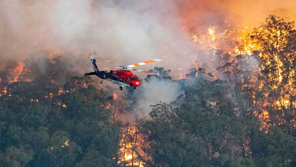 Australia's wildfires