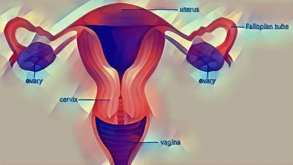 Endometrial cancer
