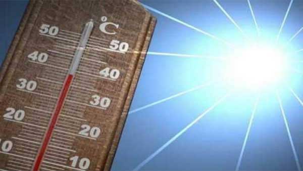 Hottest January in Bengaluru in 150 years: IMD Hottest January in Bengaluru in 150 years: IMD