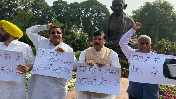 TMC, AAP MPs hold protest inside the Parliament premises against govt over Delhi violence TMC, AAP MPs hold protest inside the Parliament premises against govt over Delhi violence