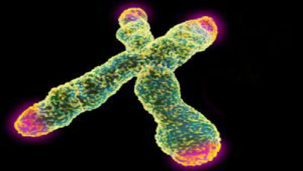 Oncologists fear delayed cancer diagnosis, stage migration amid COVID-19 crisis Oncologists fear delayed cancer diagnosis, stage migration amid COVID-19 crisis