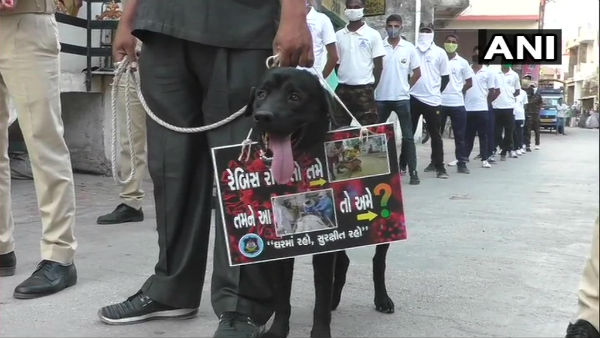 Surat Police takes out Covid-19 awareness drive with animals Surat Police takes out Covid-19 awareness drive with animals