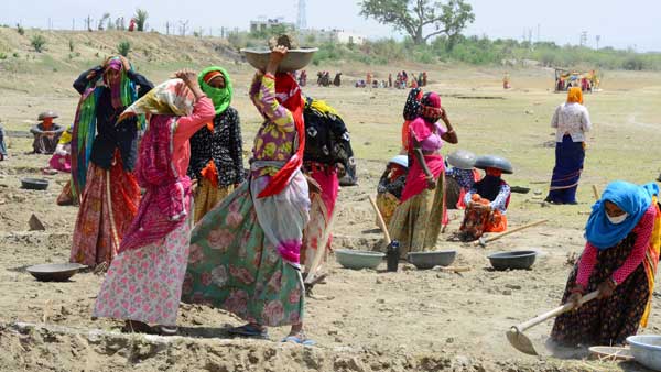 Use MNREGA to help the people of India, writes Sonia Gandhi Use MNREGA to help the people of India, writes Sonia Gandhi