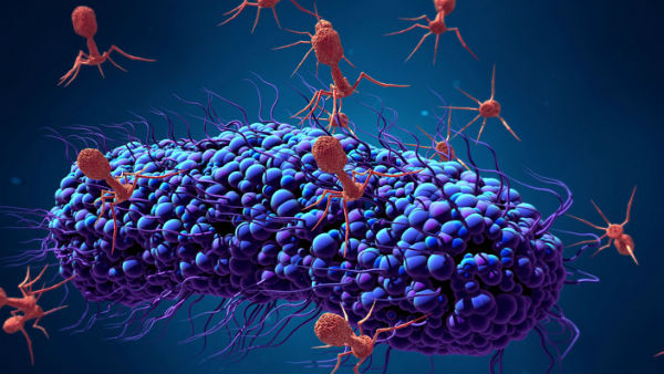 Scientists find evidence of virus-eating microorganisms Scientists find evidence of virus-eating microorganisms