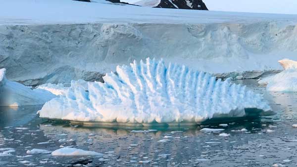 If virus doesn’t kill us, climate change will If virus doesn’t kill us, climate change will
