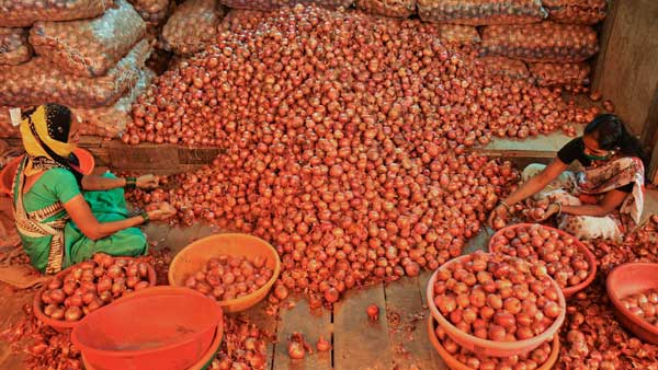 For second day no Onion auction at Nashik mandis For second day no Onion auction at Nashik mandis