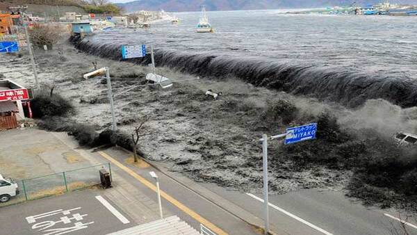 Tsunami confirmed as 7.7-magnitude quake hits South Pacific; New Zealand on alert Tsunami confirmed as 7.7-magnitude quake hits South Pacific; New Zealand on alert