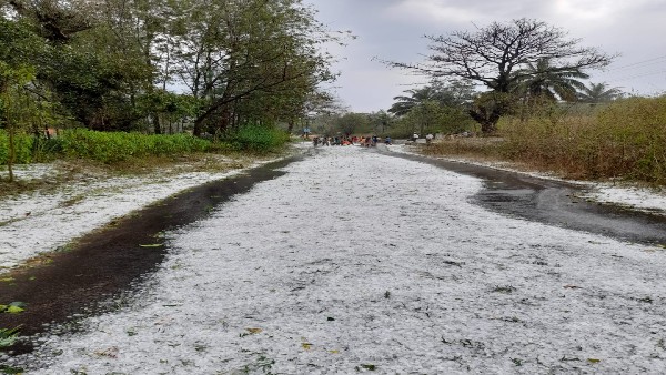 'White carpet of ice'