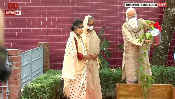 PM plants sapling at Bangabandhu Mausoleum Complex PM plants sapling at Bangabandhu Mausoleum Complex