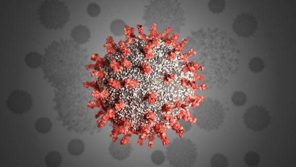 Covaxin neutralisesmultiple variants of SARS-CoV-2, effectively double mutant strain: ICMR Covaxin neutralisesmultiple variants of SARS-CoV-2, effectively double mutant strain: ICMR