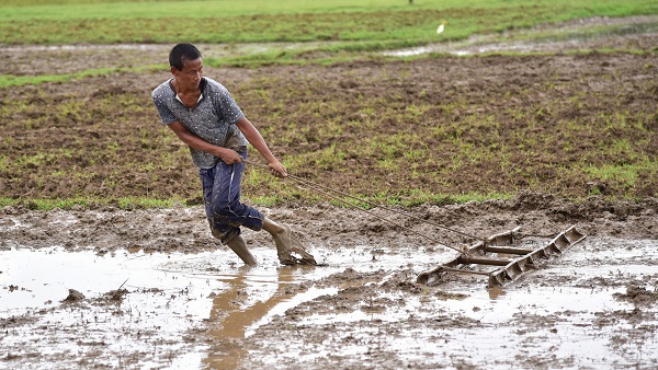 farming farming