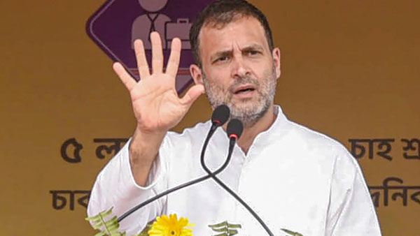 Why has Rahul Gandhi cancelled his poll rallies in Bengal Why has Rahul Gandhi cancelled his poll rallies in Bengal