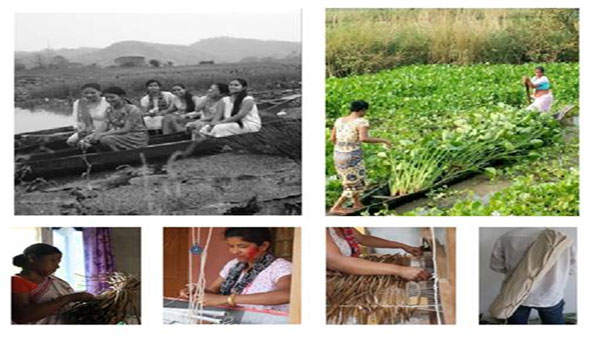 Biodegradable yoga mat developed by 6 young girls from Assam may save lakes Biodegradable yoga mat developed by 6 young girls from Assam may save lakes