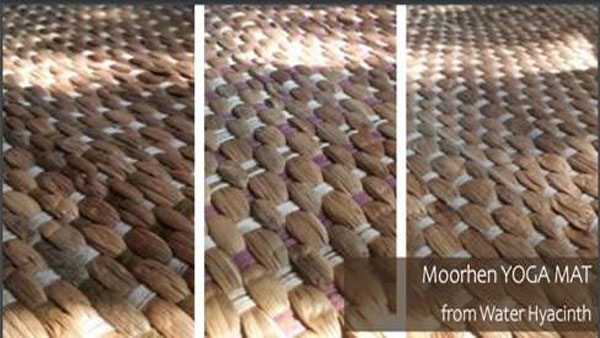Biodegradable yoga mat developed by 6 young girls from Assam may save lakes Biodegradable yoga mat developed by 6 young girls from Assam may save lakes