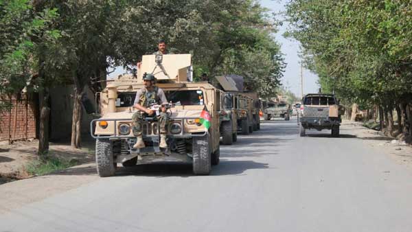 Eid: Taliban declares three day ceasefire Eid: Taliban declares three day ceasefire