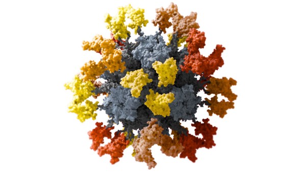Electrochemical ELISA test developed for COVID-19 antibody concentration Electrochemical ELISA test developed for COVID-19 antibody concentration