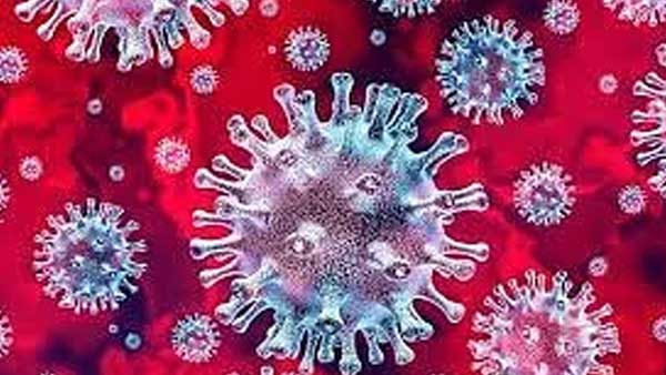 No role of antimicrobials: No role of antimicrobials: