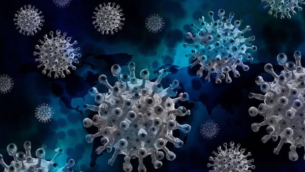 Errors in Replication can lead to emergence of Variants of Concern: Errors in Replication can lead to emergence of Variants of Concern: