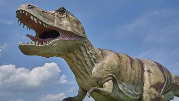 Footprints from at least six different species of dinosaur found Footprints from at least six different species of dinosaur found