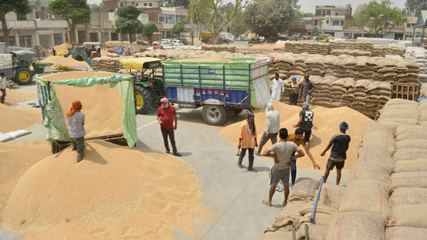 Cabinet approves further allocation of woodgrain to NFSA beneficiaries Cabinet approves further allocation of woodgrain to NFSA beneficiaries