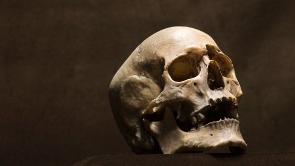 Dragon Man: Scientists discover skull in China, say new human species is our closest ancestor Dragon Man: Scientists discover skull in China, say new human species is our closest ancestor