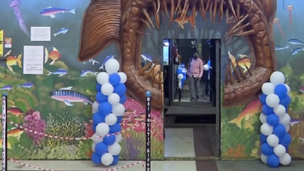 aquarium aquarium