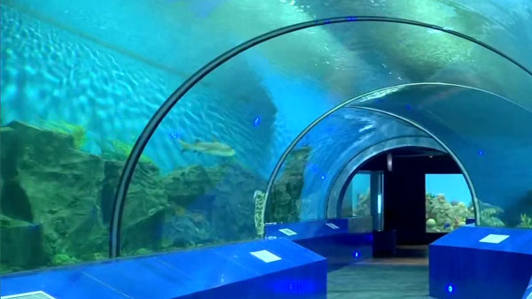 Aquatics Gallery: Aquatics Gallery: