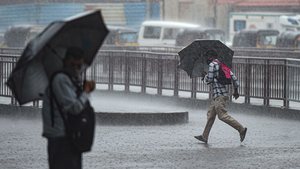 Yellow alert for 10 districts in Kerala as heavy rains to continue; 2 dams opened Yellow alert for 10 districts in Kerala as heavy rains to continue; 2 dams opened
