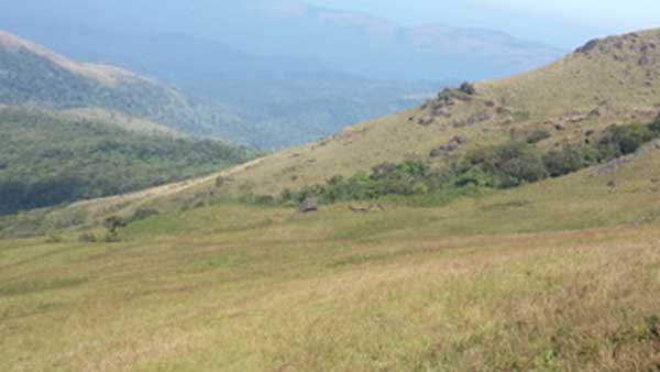 Wildlife conservation and its importance Wildlife conservation and its importance