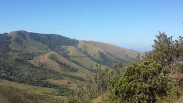 Wildlife conservation and its importance Wildlife conservation and its importance