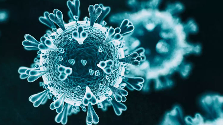 WHO warns new Mu variant or B.1.621 of COVID-19 could be more vaccine-resistant WHO warns new Mu variant or B.1.621 of COVID-19 could be more vaccine-resistant