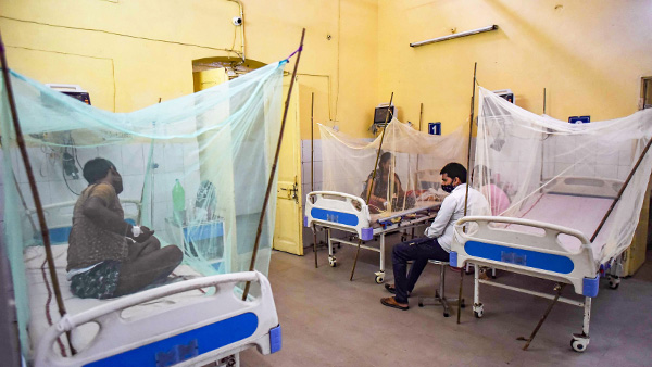 Mumbai reports 85 dengue cases in Sep, 305 this year Mumbai reports 85 dengue cases in Sep, 305 this year