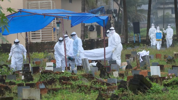 Nipha virus: Karnataka govt asks districts to strengthen surveillance and preparedness Nipha virus: Karnataka govt asks districts to strengthen surveillance and preparedness