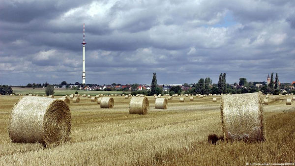 Lobbies undermine EUs green farming plan Lobbies undermine EUs green farming plan