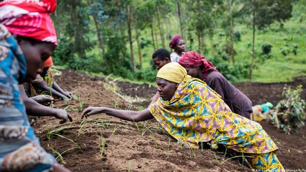 Pandemic, climate change, conflict fuel global hunger Pandemic, climate change, conflict fuel global hunger