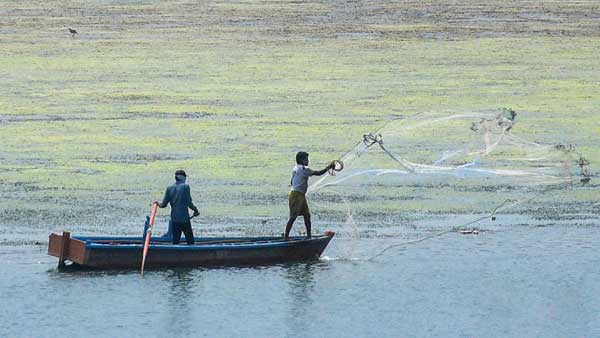 India to make pitch at WTO to exempt from subsidy cuts for nations not into distant water fishing India to make pitch at WTO to exempt from subsidy cuts for nations not into distant water fishing